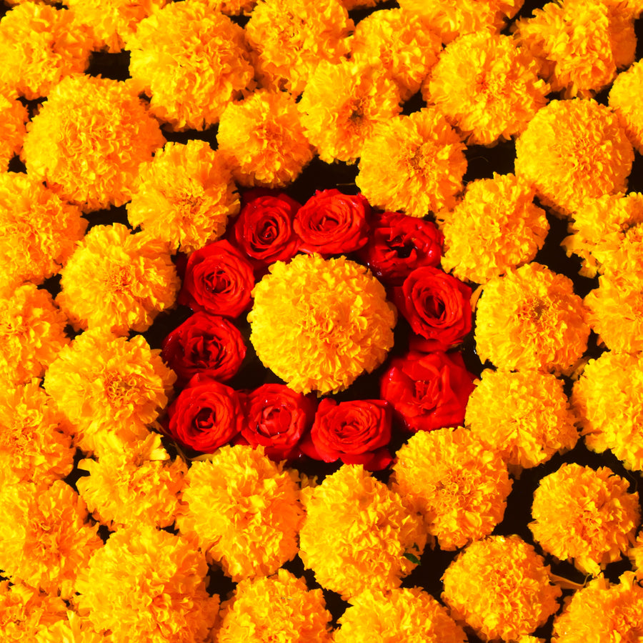 Onam pookalam flower carpet