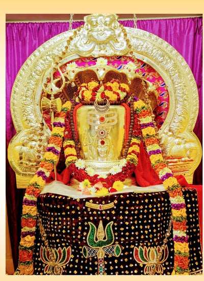 Sri Siva Abhishekam